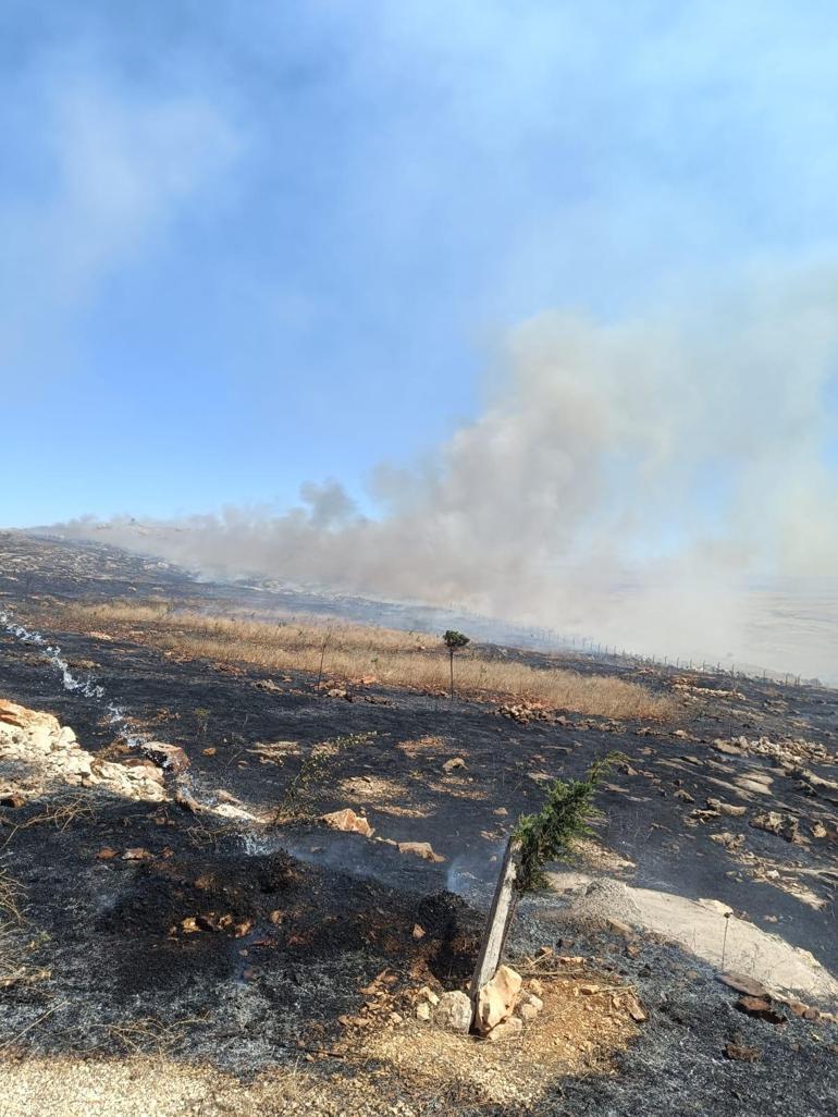 Biçerdöver alev aldı, çıkan yangında bin dönüm ekili alan ve ağaçlar zarar gördü