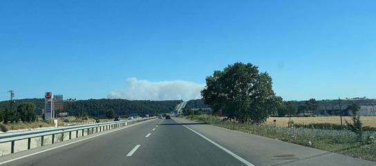 Çanakkale'de bir orman yangını daha