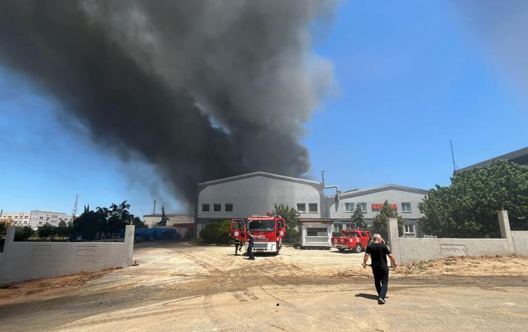 Tekirdağ’da fabrika yangını