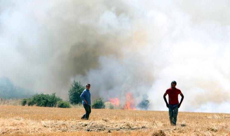 Edirne'de buğday tarlasında çıkan yangın, ağaçlara sıçradı