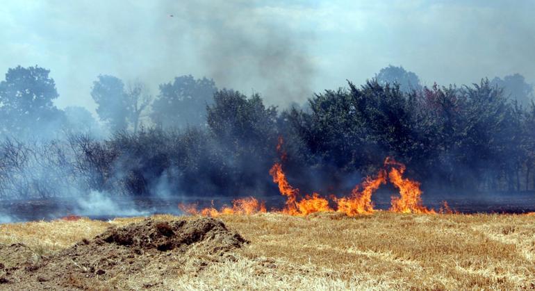 Edirne'de buğday tarlasında çıkan yangın, ağaçlara sıçradı