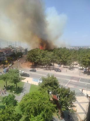 Antalya'da iki ayrı noktada yangın