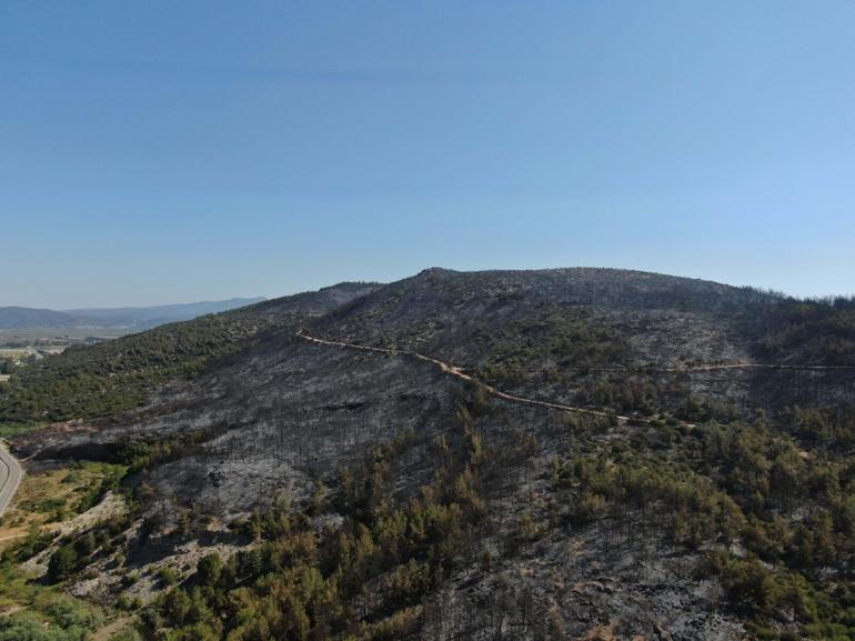 İzmir'deki yangında yanan alanlar, havadan görüntülendi