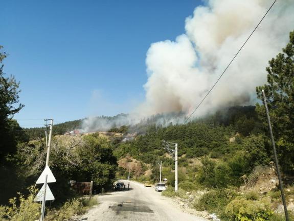 Spil Dağı'nda orman yangını