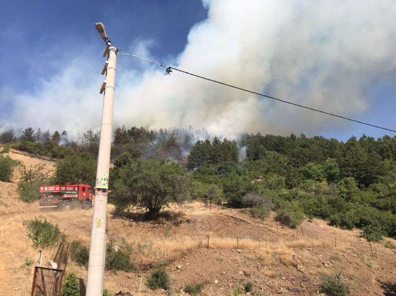 Spil Dağı'nda orman yangını