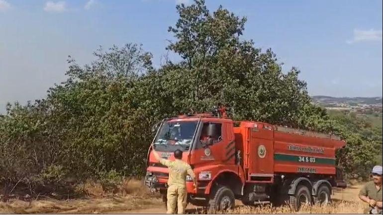 Edirne'de yangın; 90 dekar tarım ve mera alanı zarar gördü