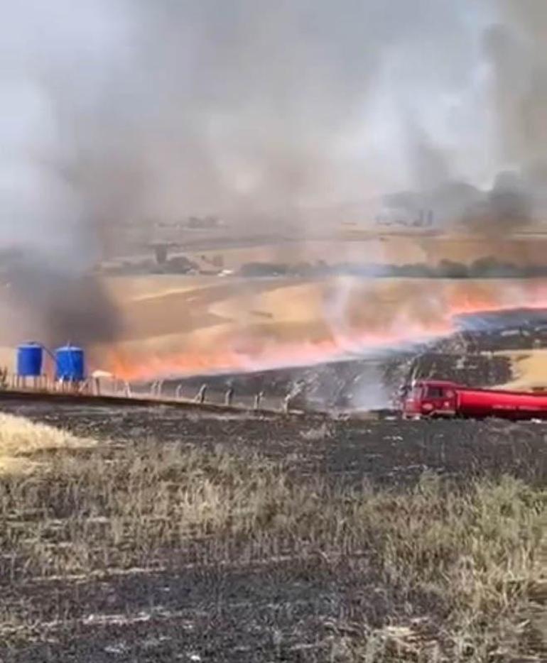 Ankara'da ekili 100 dönüm arpa ve buğday yandı