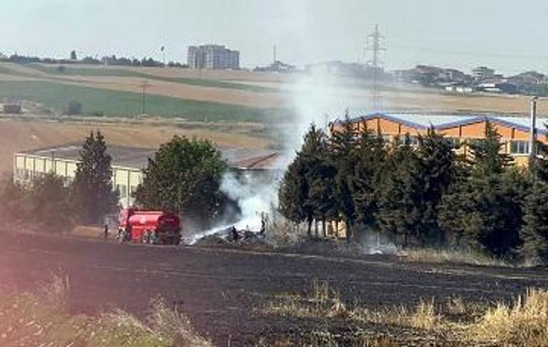 Tekirdağ'da 20 dönüm ekili buğday, yangında zarar gördü