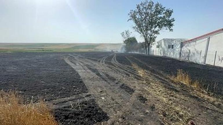 Tekirdağ'da 20 dönüm ekili buğday, yangında zarar gördü