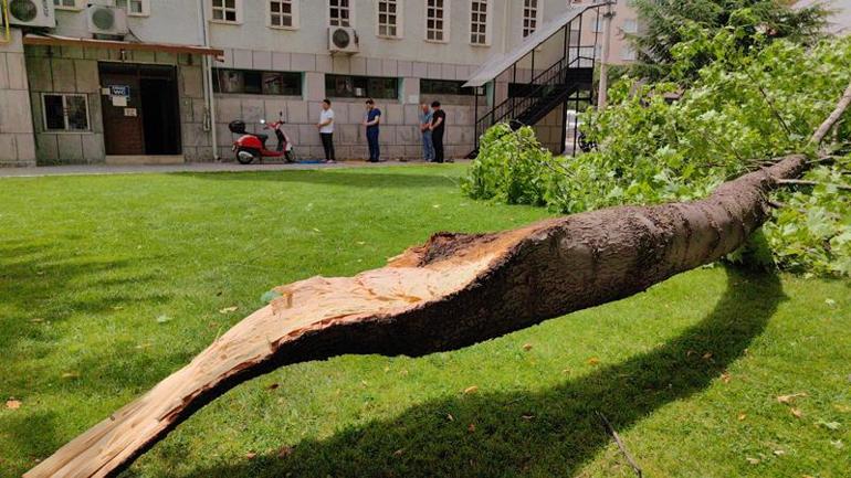 Bursa'da rüzgarda cami bahçesindeki ağacın dalı kırıldı; altında kalan 1 kişi yaralandı