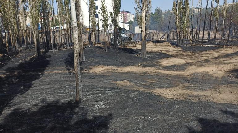 Sivas'ta örtü yangınında 2 kamyon ve 4 deprem konteyneri yandı