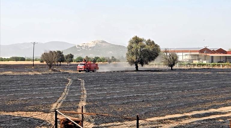 Burdur'da iki noktadaki yangında 1000 dönüm arazi yandı; duman nedeniyle yol ulaşıma kapandı