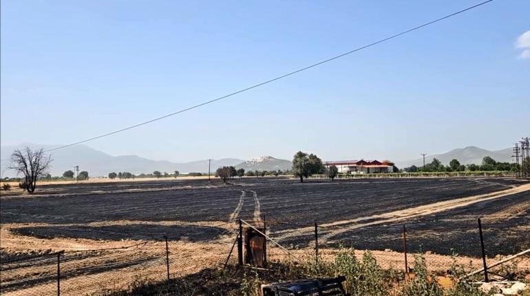 Burdur'da iki noktadaki yangında 1000 dönüm arazi yandı; duman nedeniyle yol ulaşıma kapandı