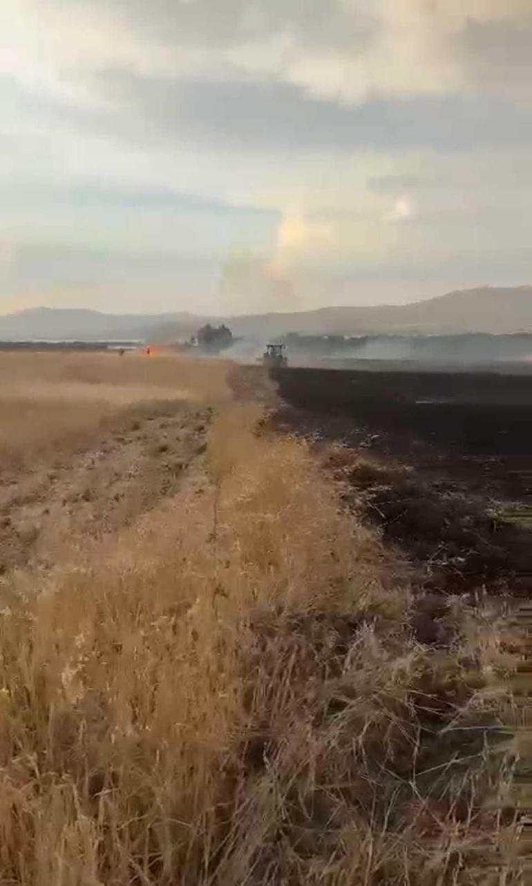 Malatya'da 10 dönüm ekili buğday yandı