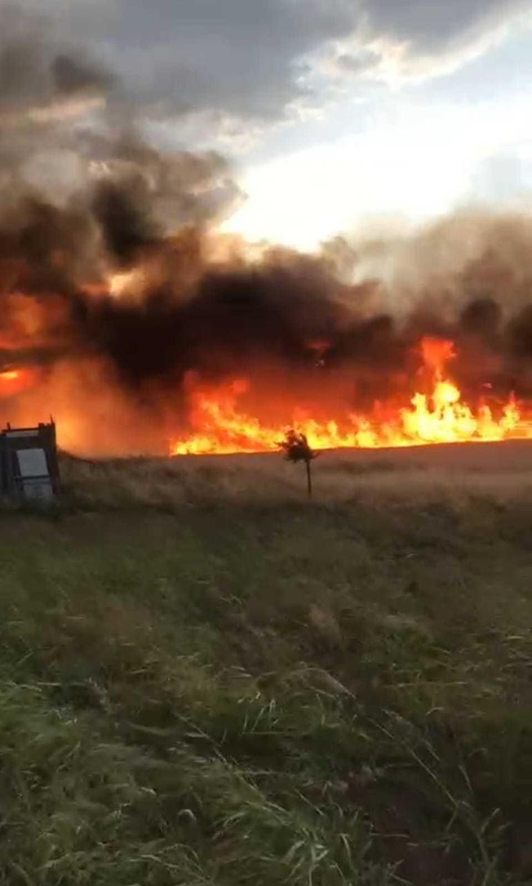 Malatya'da 10 dönüm ekili buğday yandı