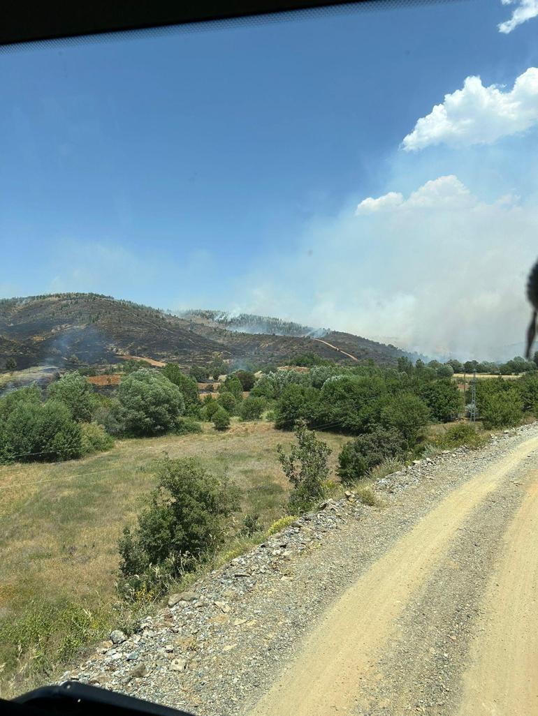 Elazığ’da orman yangını