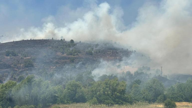 Elazığ’da orman yangını