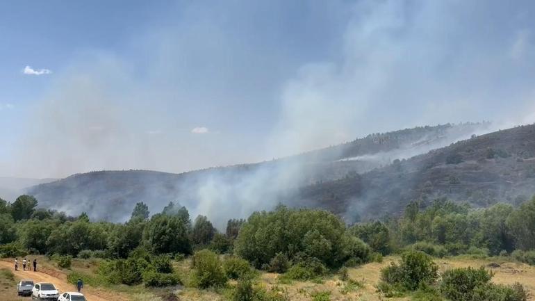 Elazığ’da orman yangını