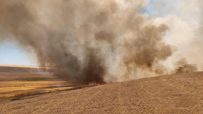 Diyarbakır’da anız yangınında 500 dönüm alan zarar gördü