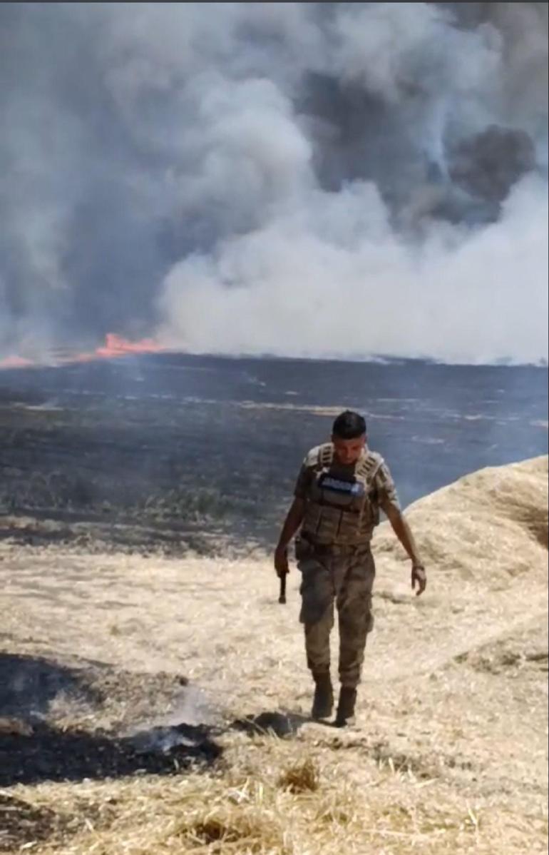 Diyarbakır’da anız yangınında 500 dönüm alan zarar gördü