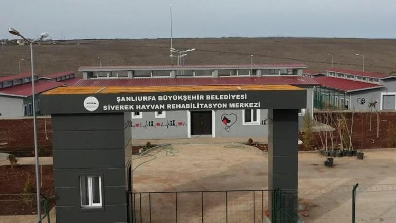 Şanlıurfa’da, muhtarlık kapısına ‘Katil’ yazan 4 kişi hakkında yakalama kararı