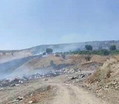 Diyarbakır'ın 2 ilçesinde 200 dönüm ekili buğday ve üzüm bağı yandı