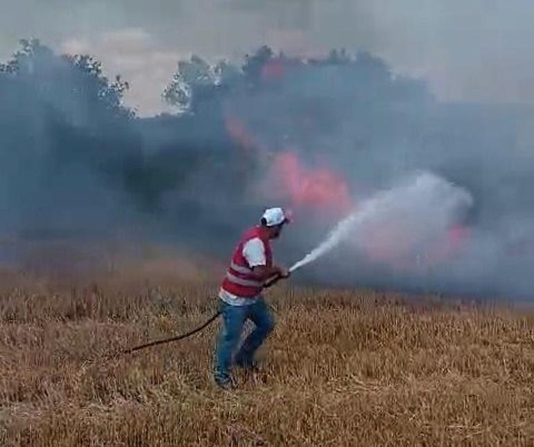 Edirne'de anız yangını, ormana da sıçradı; 56 dekarlık alan zarar gördü