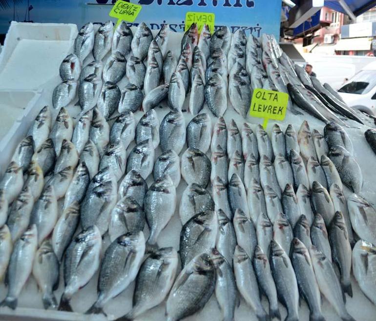 Kültür balıkçılığında üretim rekoru