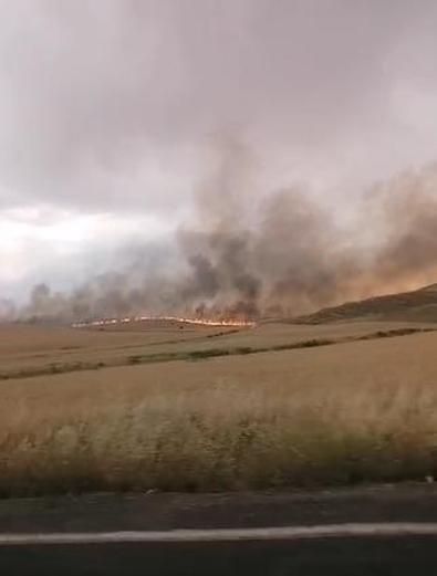 Diyarbakır’da yıldırım düşen buğday tarlasında 137 dönüm yandı