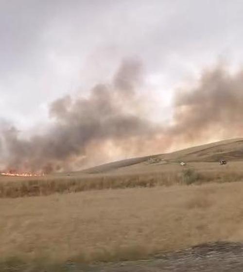 Diyarbakır’da yıldırım düşen buğday tarlasında 137 dönüm yandı