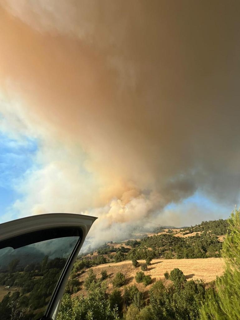 Bursa’daki orman yangınında 250 hektar alan zarar gördü