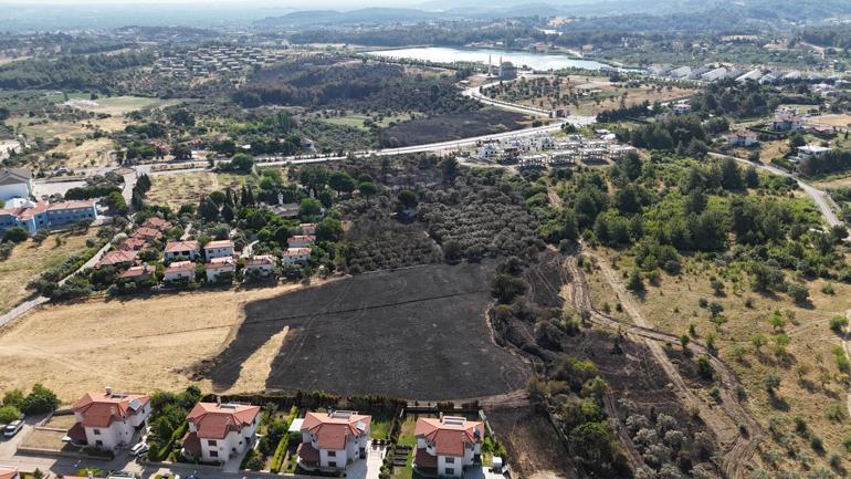 İzmir'deki yangın 4 saatte kontrol altına alındı, 15 hektar zeytinlik zarar gördü
