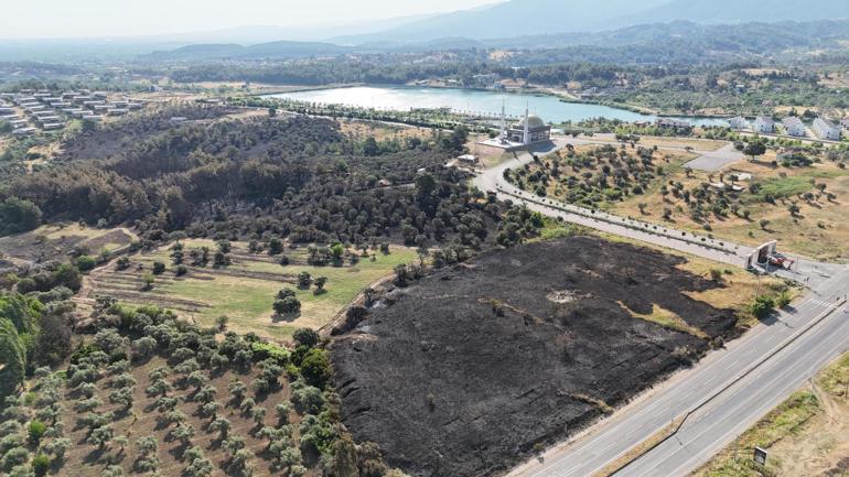 İzmir'deki yangın 4 saatte kontrol altına alındı, 15 hektar zeytinlik zarar gördü
