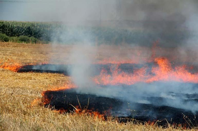 Adana'da 2 günde 10 orman yangını çıktı, profesör uyardı