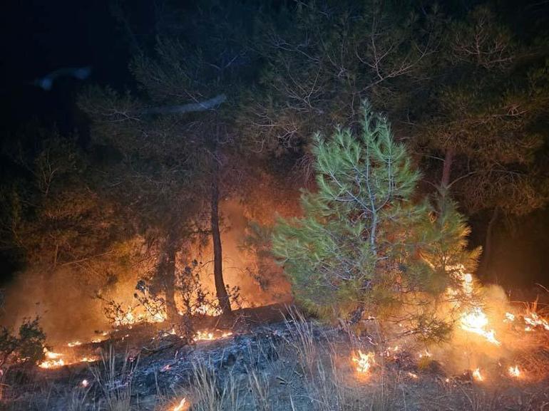 Adana'da 2 günde 10 orman yangını çıktı, profesör uyardı