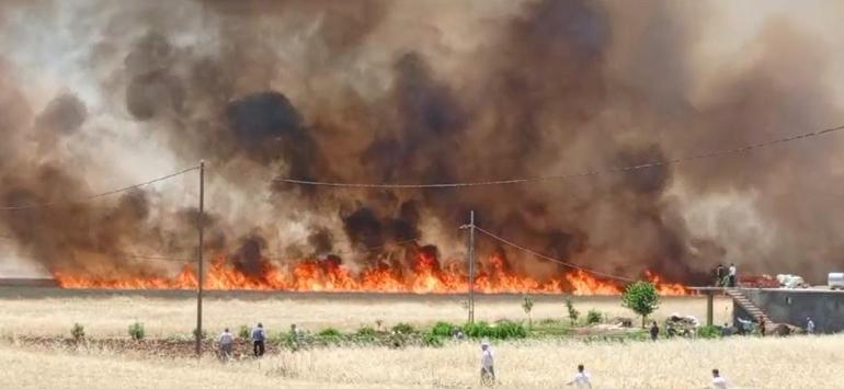 Diyarbakır’da 3 ayrı bölgede 420 dönüm ekili buğday yandı