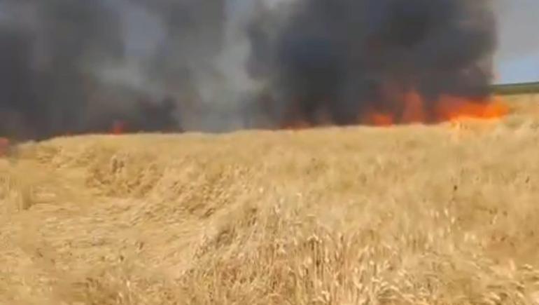 Diyarbakır’da 3 ayrı bölgede 420 dönüm ekili buğday yandı