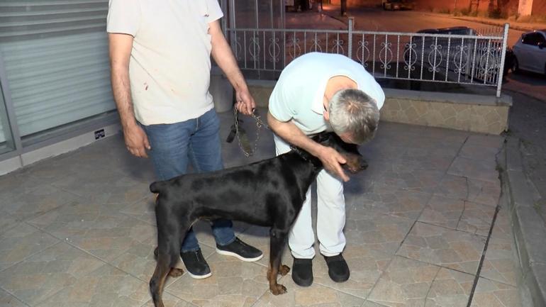 Bağcılar'da güvenlik görevlisi ile köpeğine saldıran şüpheliler yakalandı