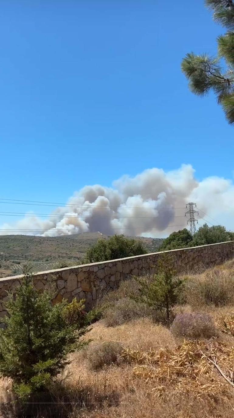 Çeşme'de orman yangını