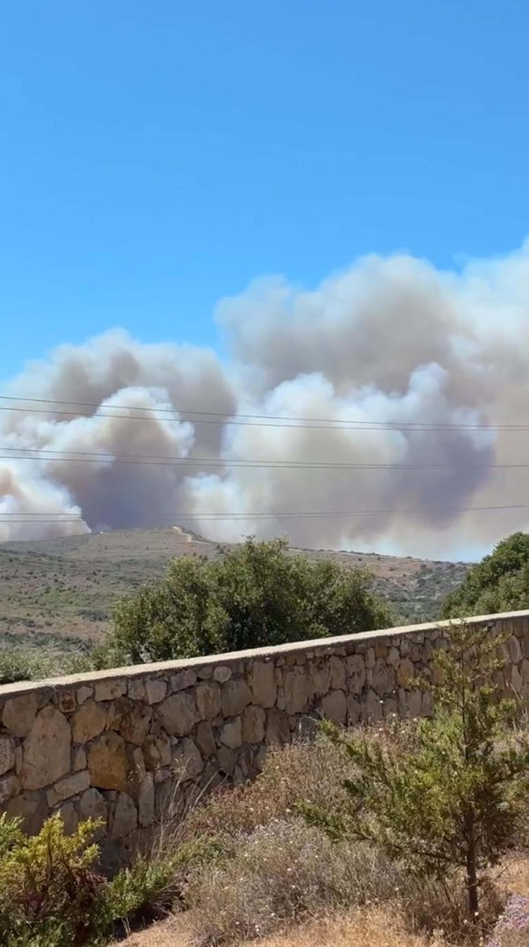 Çeşme'de orman yangını