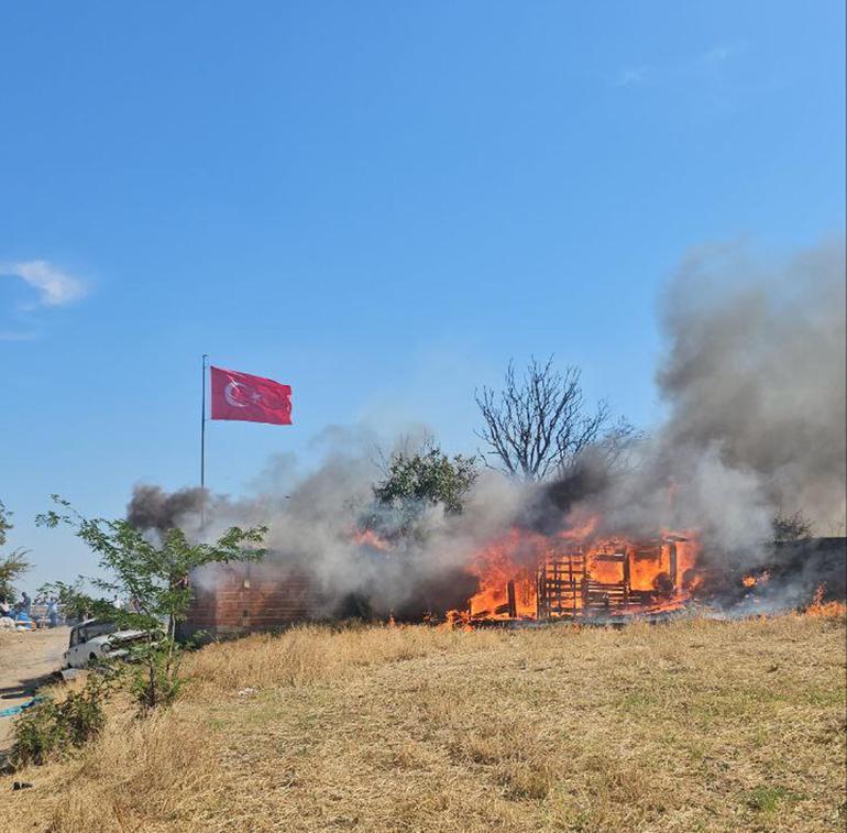 Edirne'de anız yangını ağıla sıçradı