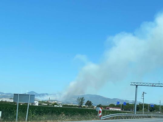 Çanakkale'de orman yangını