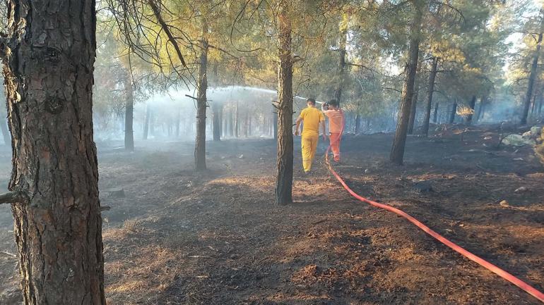 Balıkesir'deki orman yangını 2'nci gününde