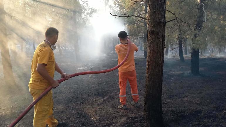 Balıkesir'deki orman yangını 2'nci gününde