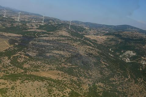 Manisa'da orman yangını