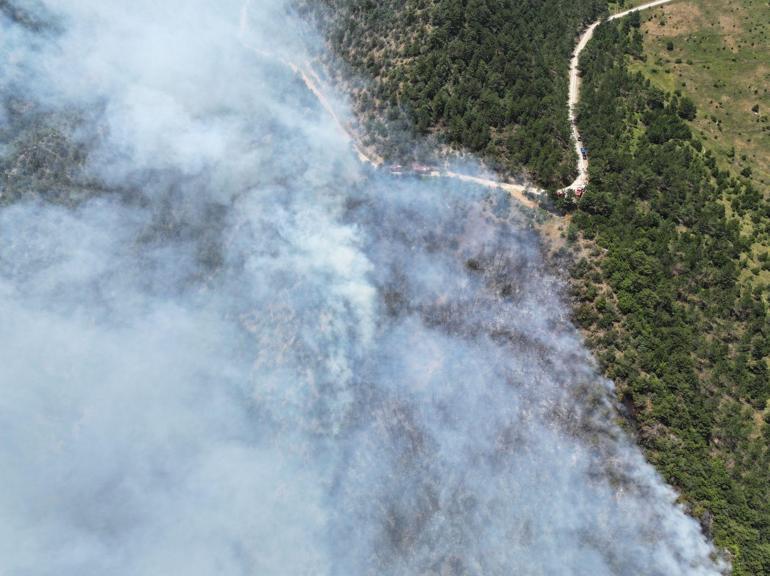 Karabük'te ormana yıldırım düştü, yangın çıktı
