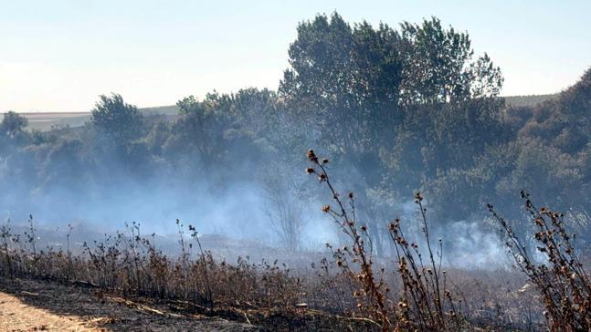 Tekirdağ’da iki ayrı piknik alanında yangın çıktı