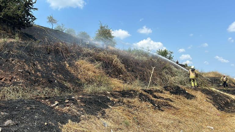 Sancaktepe’de otlukta çıkan yangın ormana sıçradı