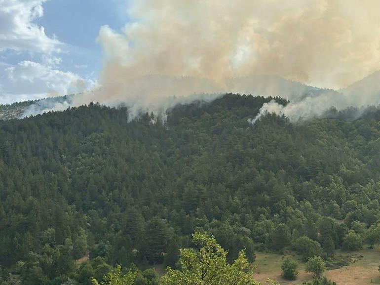 Kastamonu'da orman yangını kontrol altına alındı; 20 hektar alan zarar gördü