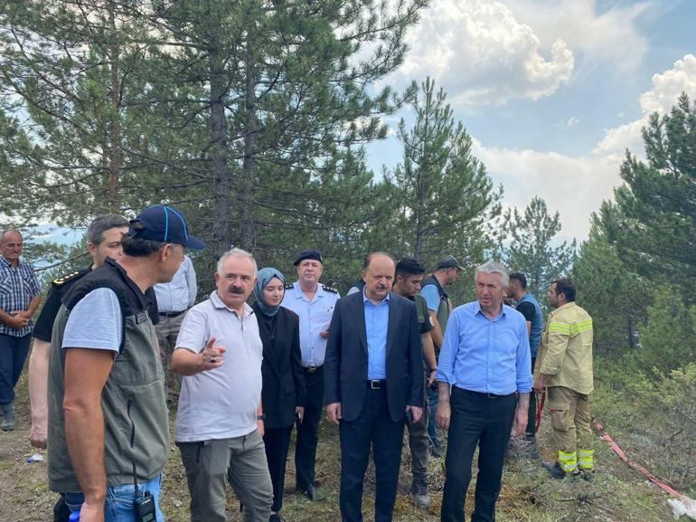 Kastamonu'da orman yangını kontrol altına alındı; 20 hektar alan zarar gördü